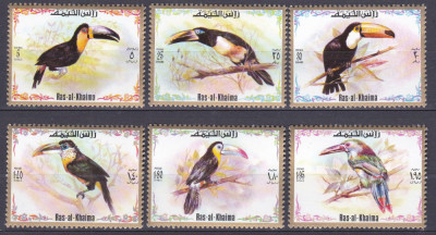 DB1 Fauna Pasari Ras al Khaima Tucani 6 v. MNH foto