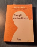 Emotii vindecatoare Dalai Lama