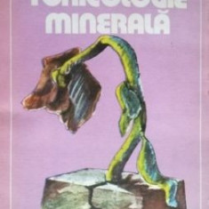 Toxicologie minerala