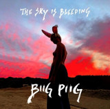 The Sky Is Bleeding - Vinyl | Biig Piig, rca records