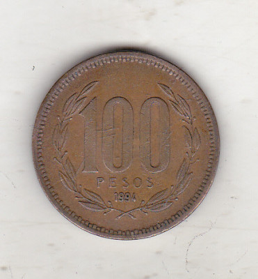 bnk mnd Chile 100 pesos 1994 foto