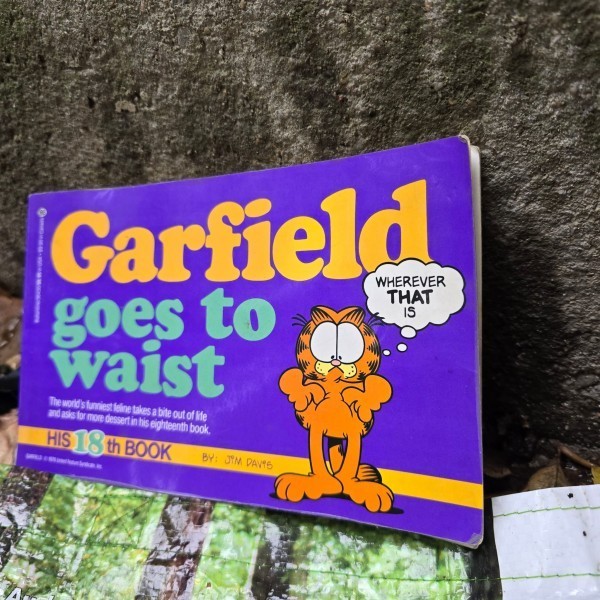 Garfield goes to waist - Jim Davis