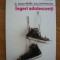 STEPHEN BRIERS / SACHA BAVEYSTOCK - INGERI ADOLESCENTI - 2008