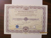 PVM - Actiune Nominativa 10000 lei Banca Internationala a Religiilor BIR 1997, Romania de la 1950