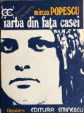 Iarba din fata casei Mircea Popescu, 1980, Eminescu