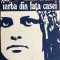Iarba din fata casei Mircea Popescu