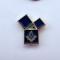 insigna masonica