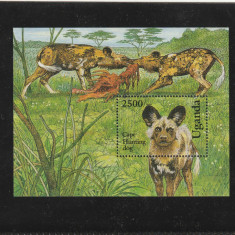 Uganda 1993-Fauna,Caini de vanatoare,colita dantelata,MNH,Michel Bl.187