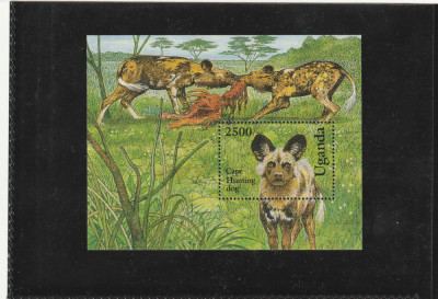 Uganda 1993-Fauna,Caini de vanatoare,colita dantelata,MNH,Michel Bl.187 foto