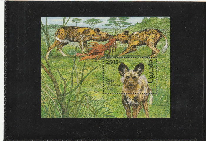Uganda 1993-Fauna,Caini de vanatoare,colita dantelata,MNH,Michel Bl.187
