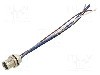 Conector M8, 5 pini, clasa etanseitate IP65, IP67, DEGSON ELECTRONICS - SD-M8B-05P-FF-SF7A10-00A(H)