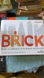 Brick si Calatoria Ei in Lumea Arhitecturii - Joshua David Stein , Julia Rothman (ilustratii)