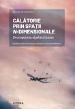 Calatorie prin spatii n-dimensionale. Descoperirea algebrei liniare, Litera