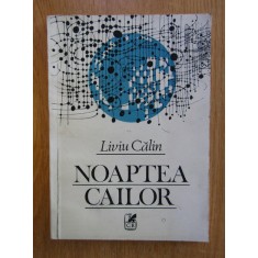 Liviu Calin - Noaptea cailor