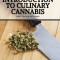 The Nomad Cook: Introduction to Culinary Cannabis