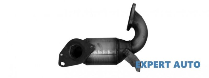 Catalizator Renault Megane II (2002-2011)[BM0/1_,CM0/1_]