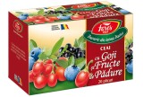 Ceai cu Goji si Fructe de Padure 20 plicuri Fares