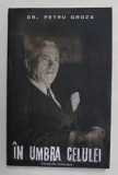 Dr. Petru Groza - &Icirc;n umbra celulei. Jurnal din &icirc;nchisoare