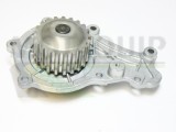MOTAQUIP VWP781 Pompă de apă, răcire motor