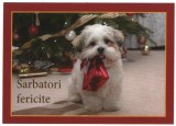 Craciun, carte postala, nou 1