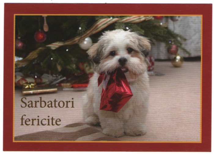 Craciun, carte postala, nou 1