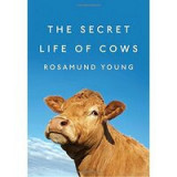 The secret life of cows