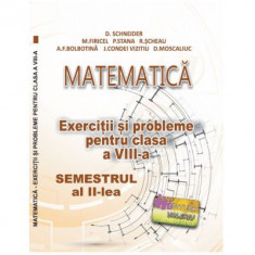 Matematica. Exercitii si probleme clasa a 8-a Semestrul al 2-lea - Delia Schneider