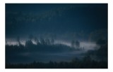 Tablou Canvas, "Ceața misteriosă din pădurea ad&acirc;ncă", Natură, Ceață, Pădure, Liniște, Mister, Răsărit, Umbre, Verdeață, Peisaj, Calm., 39 x 26 cm, CMC