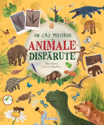 Animale disparute PlayLearn Toys foto