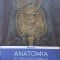 ANATOMIA SI FIZIOLOGIA OMULUI. MODELE DIDACTICE PENTRU LICEE SI ADMITERE LA FACULTATE-MIRCEA NEDEA, NITA NE-278741