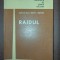 Raidul- Ion T. Socol