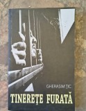 Gherasim Tic - Tinerete furata