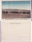 Cavaleria romana in Bulgaria-Razboiul balcanic 1913-militara, Necirculata, Printata