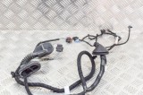 Cablaj ușă st&acirc;nga spate TESLA MODEL 3 2019 OEM: 2067965-00-A 12079999