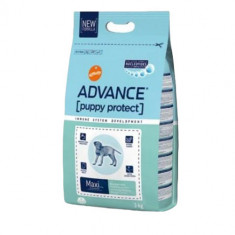 Hrana uscata pentru caini, Advance Maxi Puppy Protect, 3 Kg foto