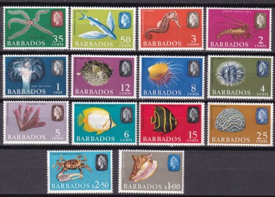 Barbados 1965 fauna marina MI 235-248 MNH foto