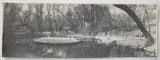 PARCUL CISMIGIU , LEBEDE PE LAC , FOTOGRAFIE , ANII &#039; 60 - &#039; 70