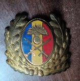 QW14 - Emblema militara / cuc - uscat - anii 1990 - piesa de colectie