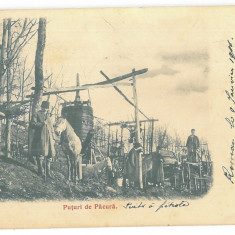 346 - PLOIESTI, Prahova, Puturi de Pacura, Romania - old postcard - used - 1906