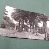 Cumpara ieftin CARTE POSTALA CIRCULATA FALTICENI -CASA IN CARE A LOCUIT M,SADOVEANU