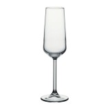 Pahar sampanie, Allegra 440079, din sticla, 195 ml, set 6 bucati