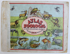 ATLAS ZOOLOGIC CU PESTE 215 ILUSTRATII COLORATE, CONTINE TEXTE EXPLICATIVE SI DENUMIRILE IN LIMBA LATINA foto