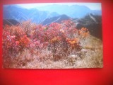 HOPCT 5400 MARELE ZID CHINEZESC-ARTARI -CHINA -ASIA-NECIRCULATA, Printata