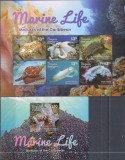 Timbre cu moluște marine din Bequia / Grenadines of St. Vincent