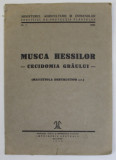 MUSCA HESSILOR - CECIDOMIA GRAULUI - ( MAYETIOLA DESTRUCTOR SAY.) , 1938