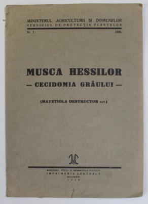 MUSCA HESSILOR - CECIDOMIA GRAULUI - ( MAYETIOLA DESTRUCTOR SAY.) , 1938 foto