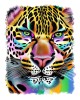 Sticker Decorativ Leopard Galben 70cm, Autocolant Perete, Autoadeziv, PVC, 55x70 cm