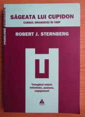 Robert J. Sternberg - Sageata lui Cupidon foto