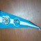 Fanion Fotbal C S U Dunarea Galati