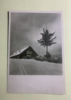 Carte poștală Predeal-cabana trei brazi RPR foto